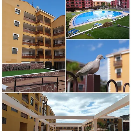 Sweet Caroline Palm-mar