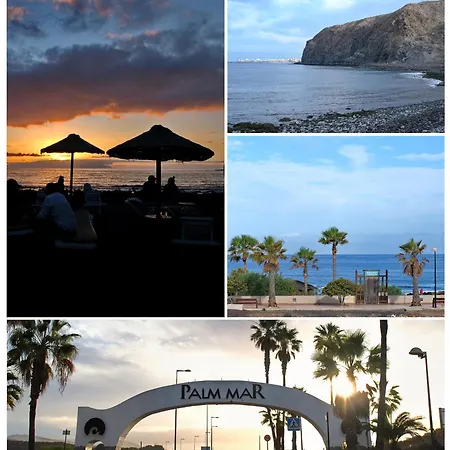 Sweet Caroline Palm-mar