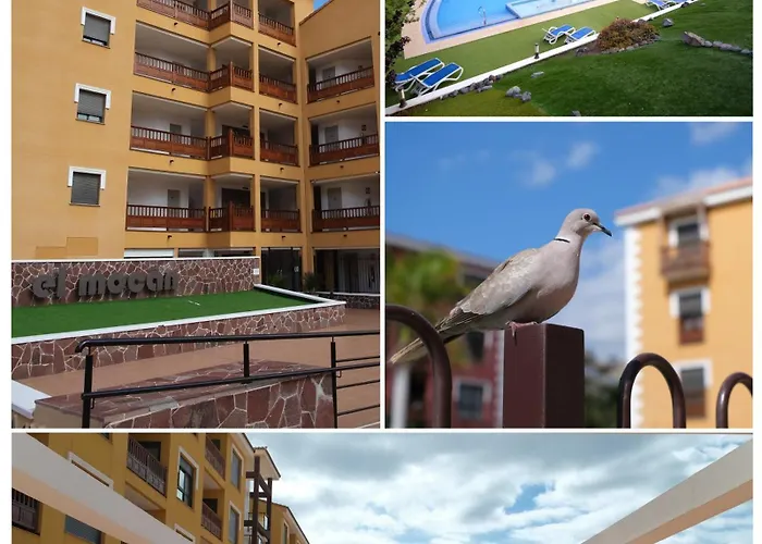 Sweet Caroline Эль-Пальмар